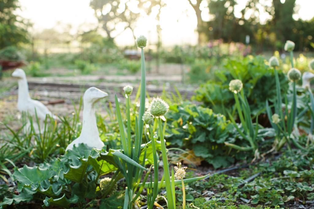 Napa Farmhouse Inn St. Helena Bagian luar foto