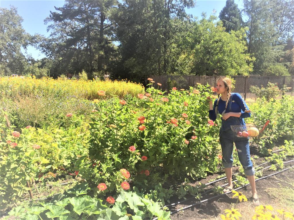 Napa Farmhouse Inn St. Helena Bagian luar foto